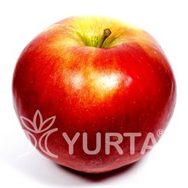 Măr Idared