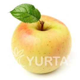 Măr Patul