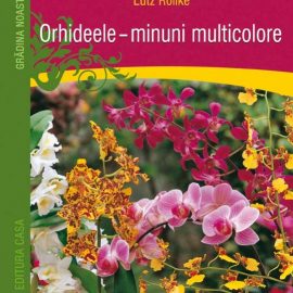 Orhideele – minuni multicolore