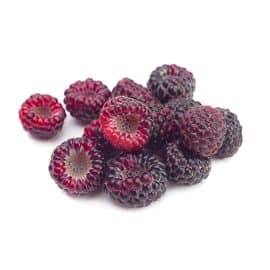 Zmeur negru Rubus occidentalis in ghivece de 2l
