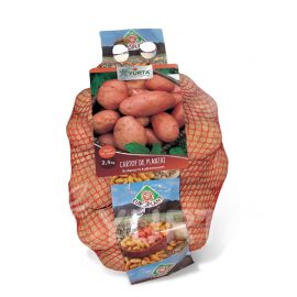 Cartofi roșii de plantat – Red Fantasy 2.5kg
