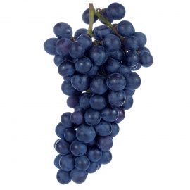 Vita de vie Feteasca neagra