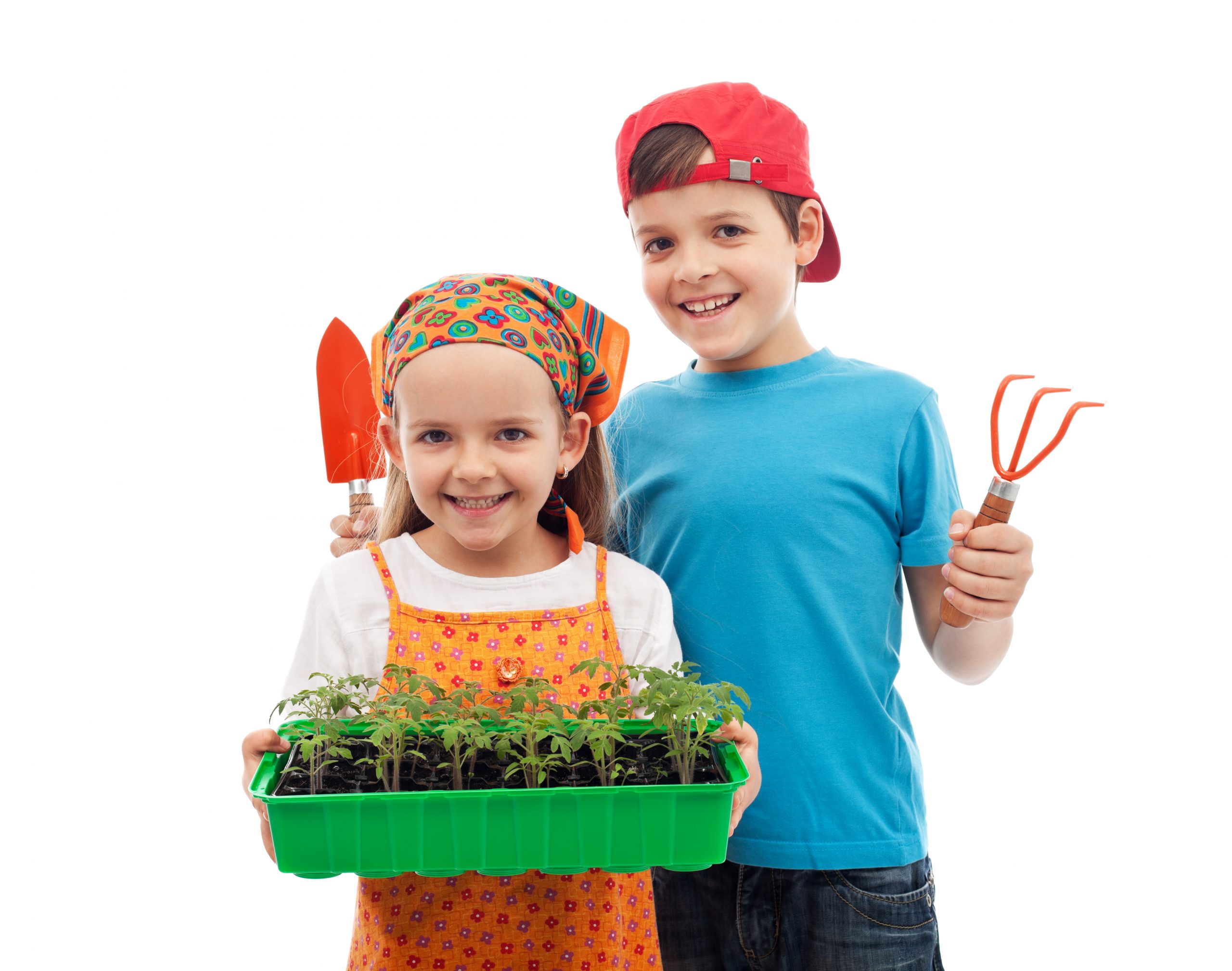 You are currently viewing Beneficiile grădinăritului pentru copii