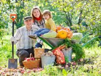 Grădinăritul,  terapie antistres