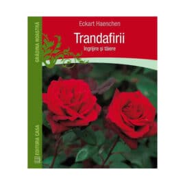 Trandafirii: îngrijire și tăiere