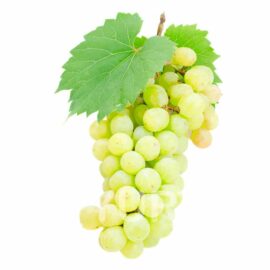 Viță românească Centenar de Pietroasa