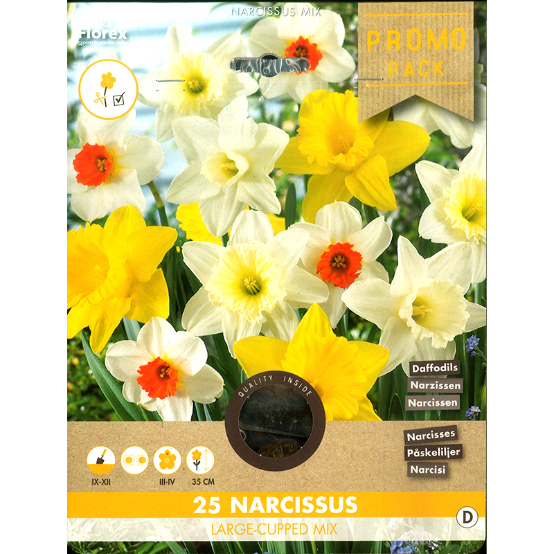 Narcise Largecupped mixt- 25 bulbi