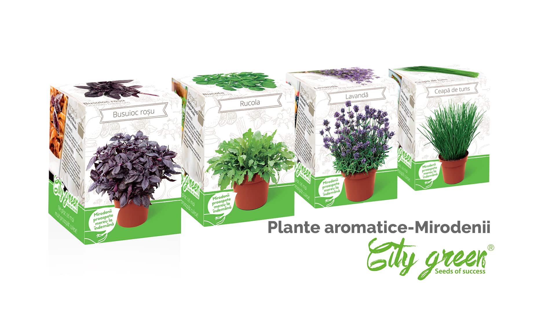 You are currently viewing Kit plante aromatice City Green