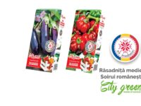 Kit răsadniță medie City Green