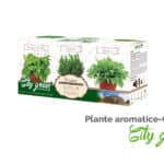 Set de cultivare plante aromatice City Green