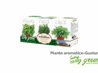 Set de cultivare plante aromatice City Green