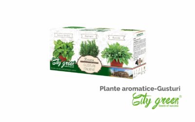 Set de cultivare plante aromatice City Green